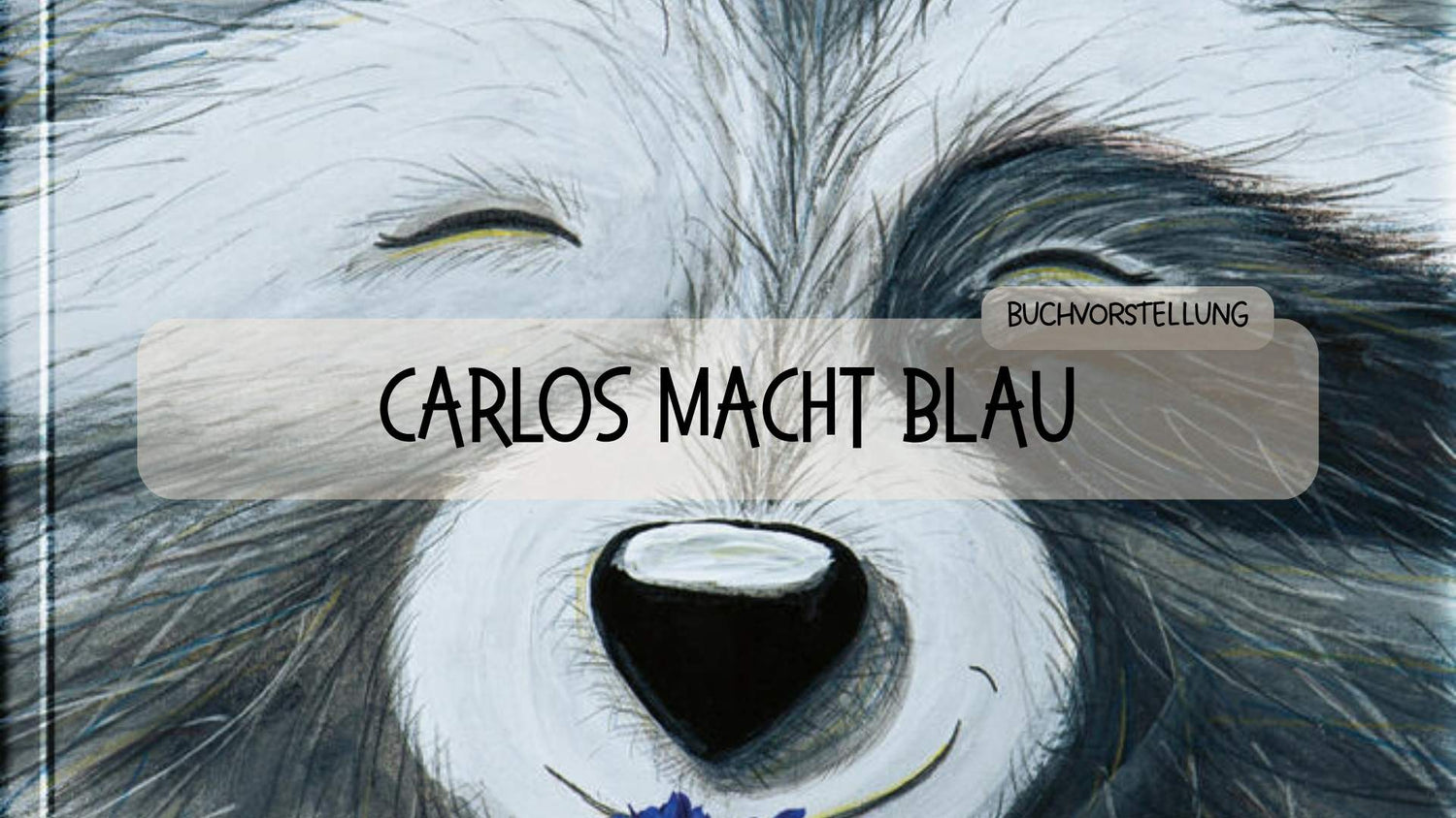 Buchvorstellung: Carlos macht Blau - Räuberfuchs-Blog
