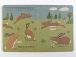 Ich bin der Hase: 100 % Naturbuch - Vierfarbiges Papp-Bilderbuch