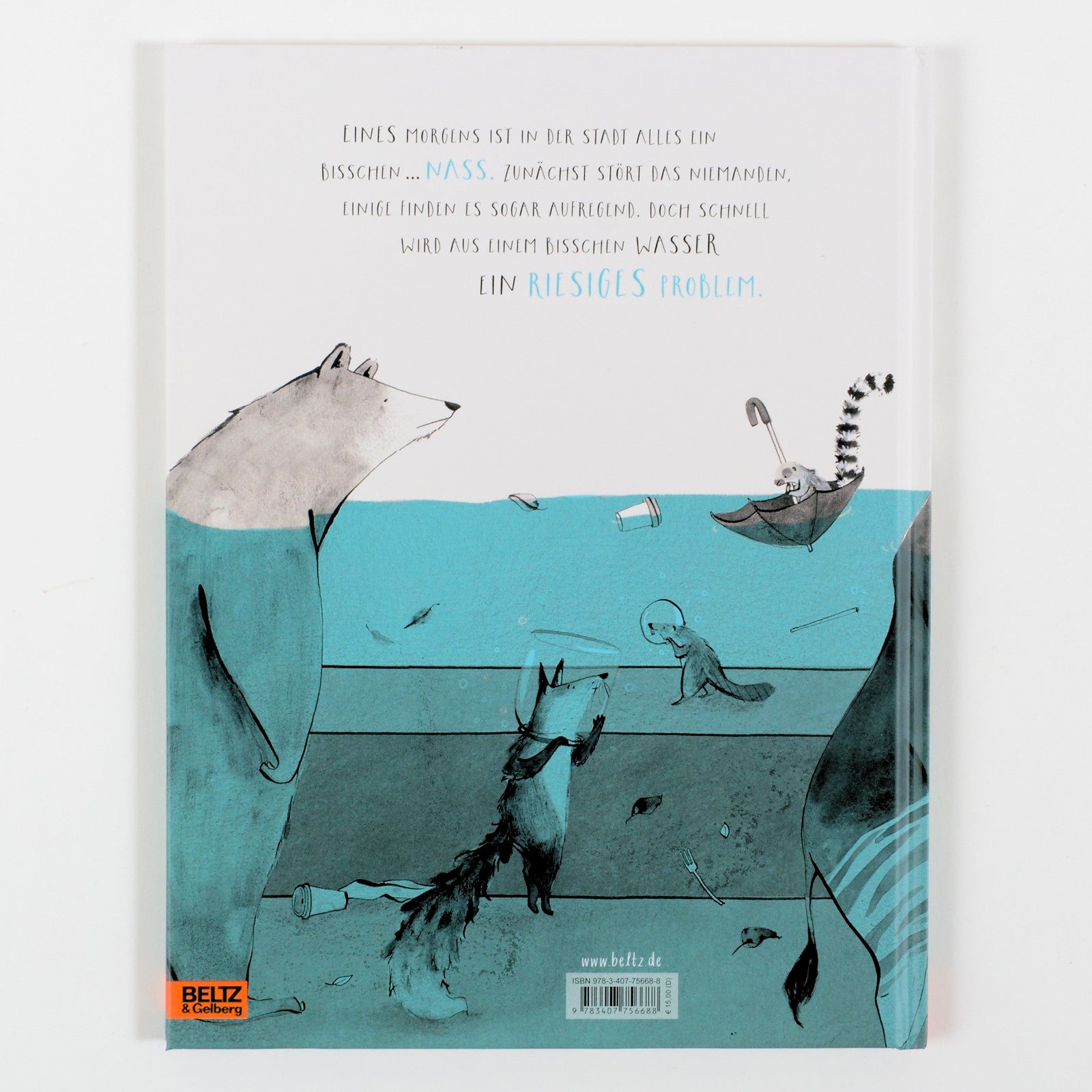 Nur ein bisschen Wasser: Vierfarbiges Bilderbuch mit Ausklappseite