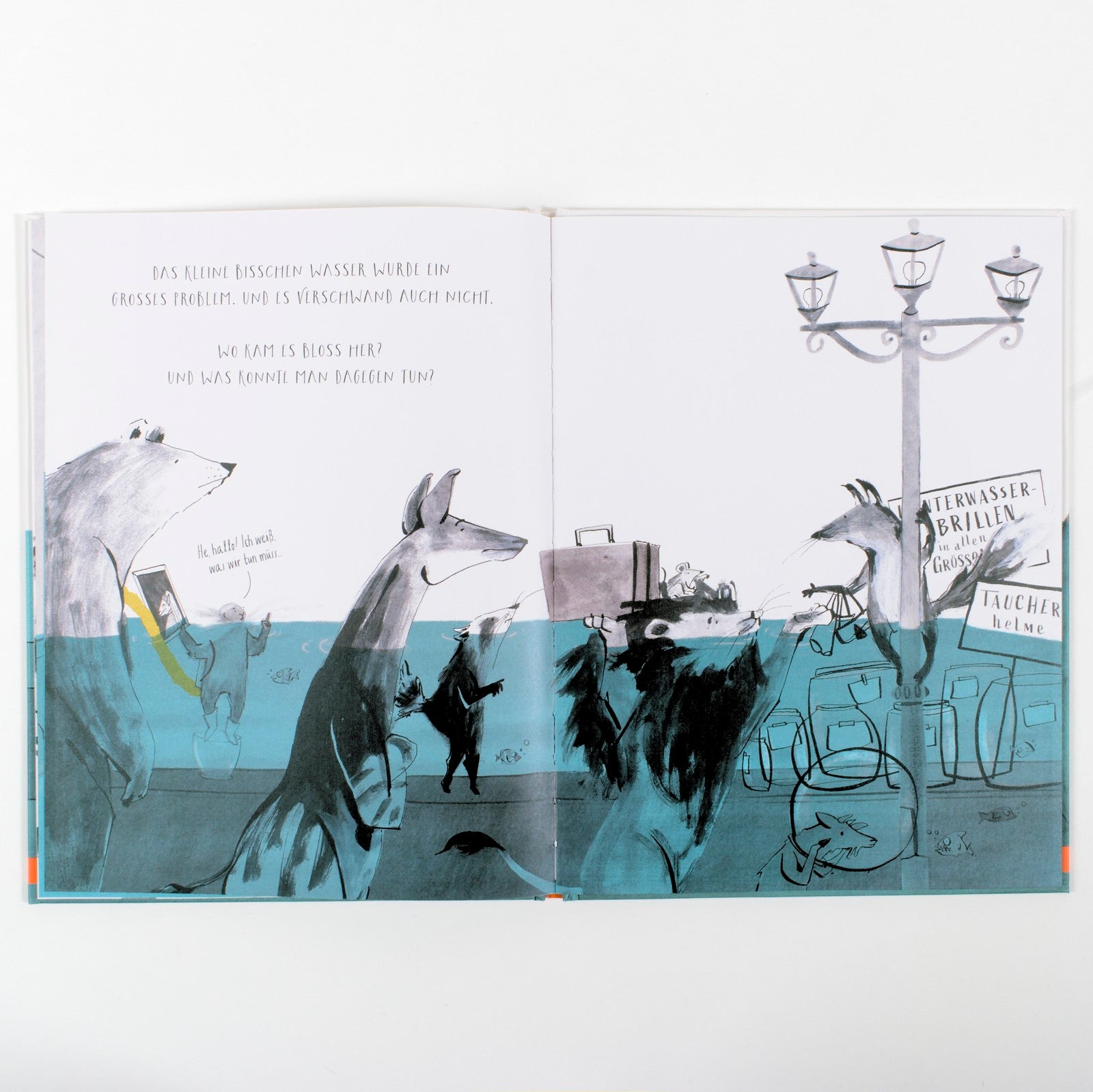 Nur ein bisschen Wasser: Vierfarbiges Bilderbuch mit Ausklappseite