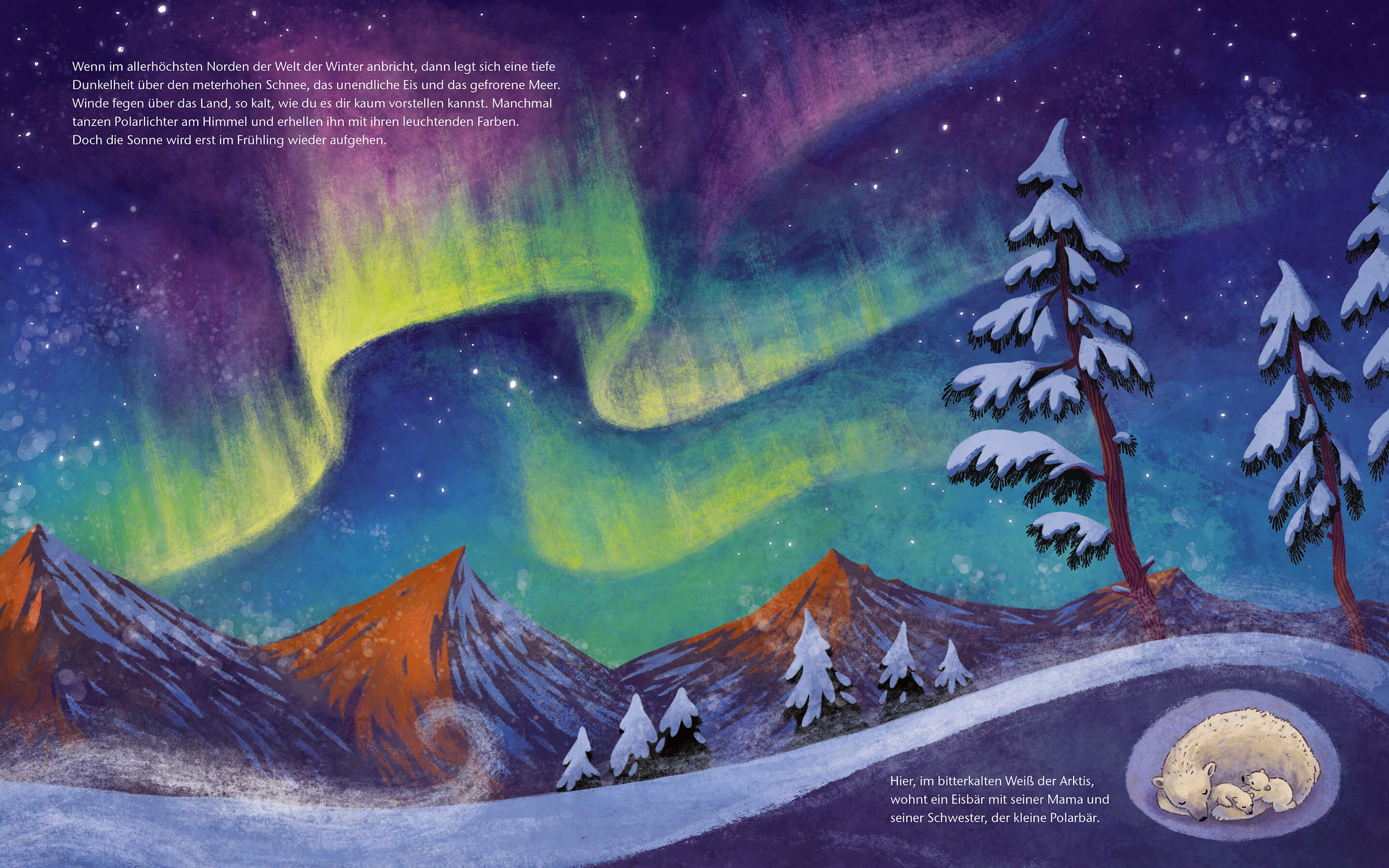 Der kleine Polarbär - Zu Hause in der Arktis