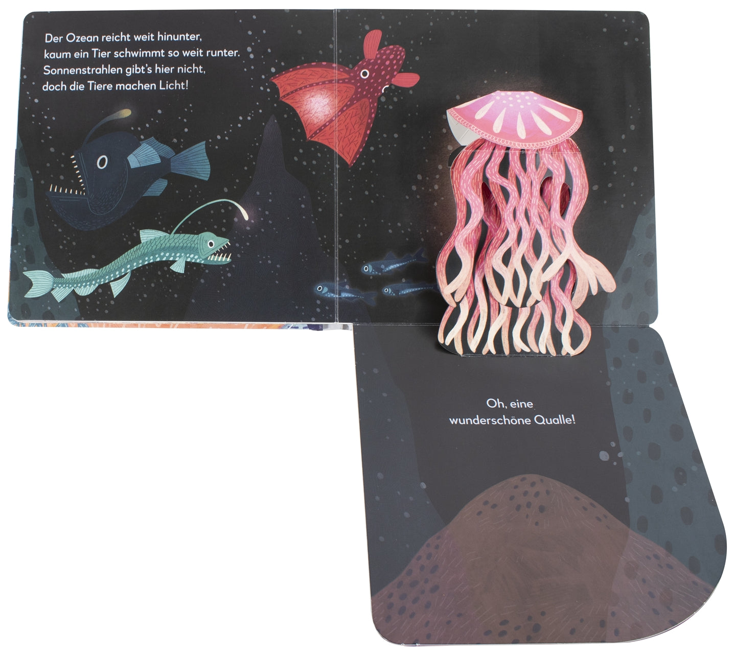 Mein Pop-up-Buch zum Staunen. Wer lebt im Meer?