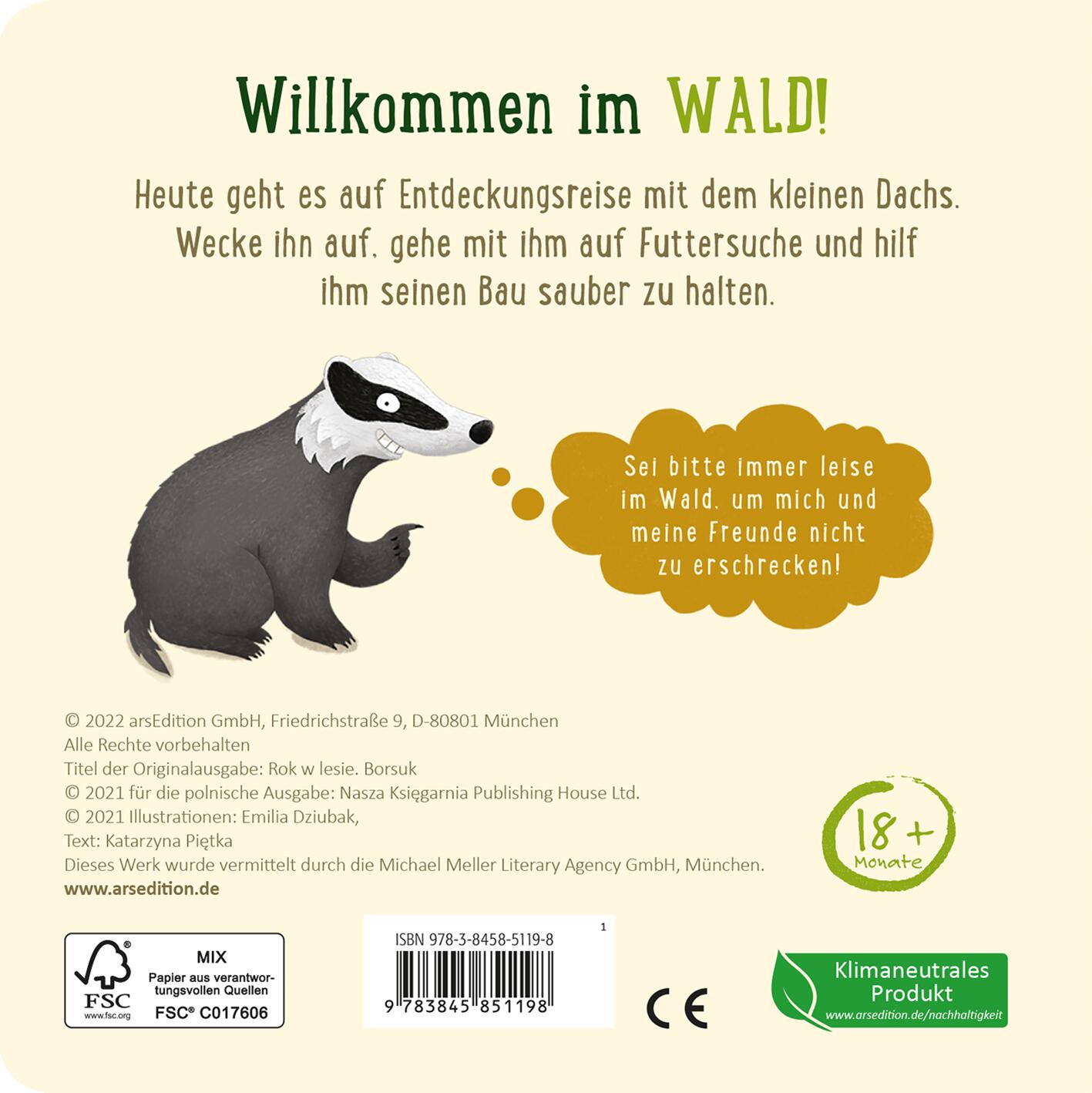 Eine Nacht im Wald: Kleiner Dachs