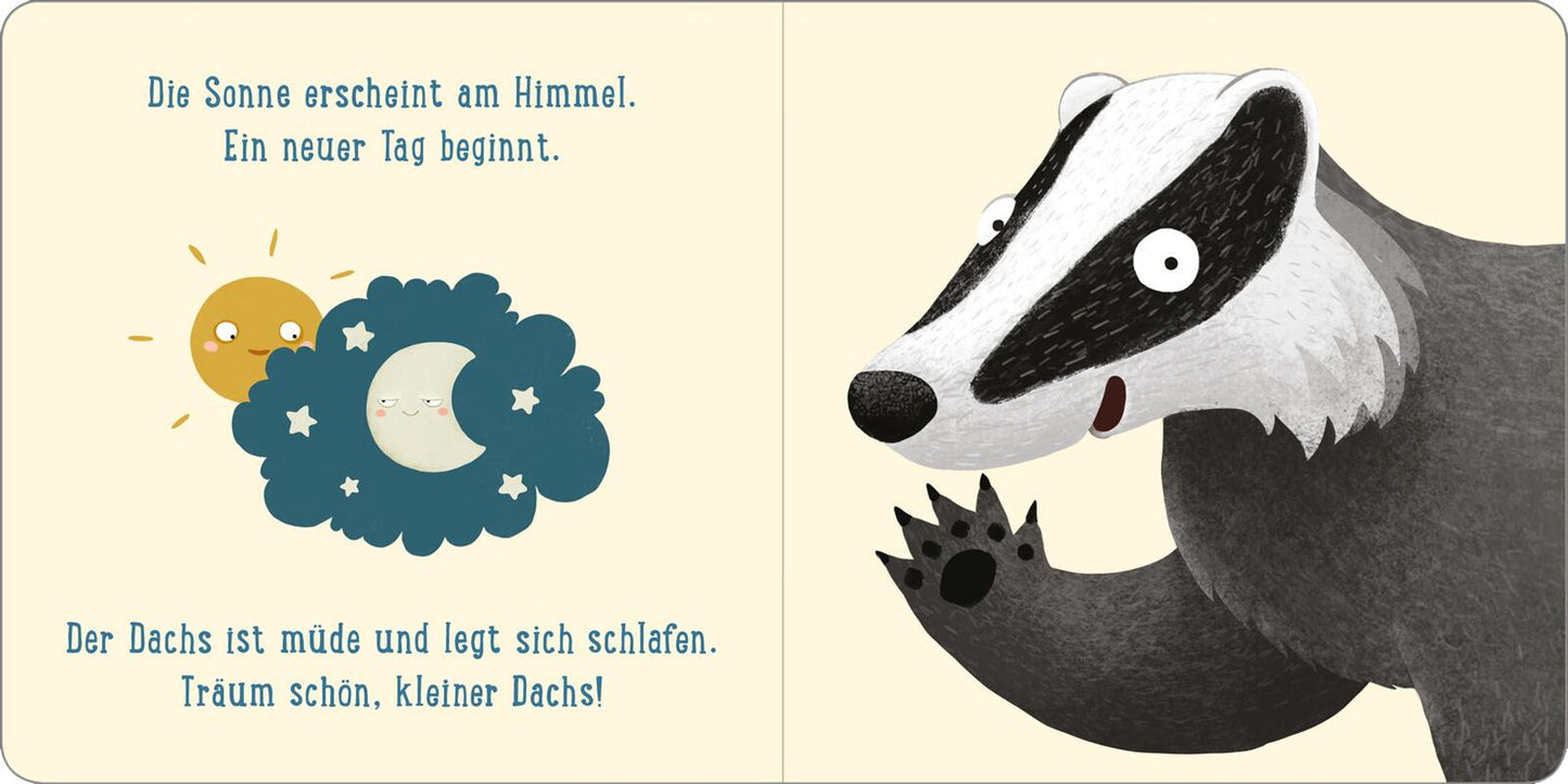 Eine Nacht im Wald: Kleiner Dachs