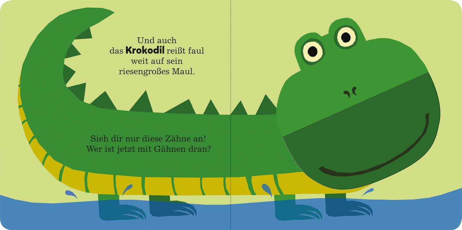 Alle müssen gähnen Mit großen Klappen 9783845865959 ArsEdition GmbH (10)
