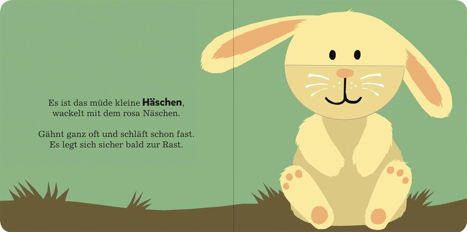 Alle müssen gähnen Mit großen Klappen 9783845865959 ArsEdition GmbH (5)