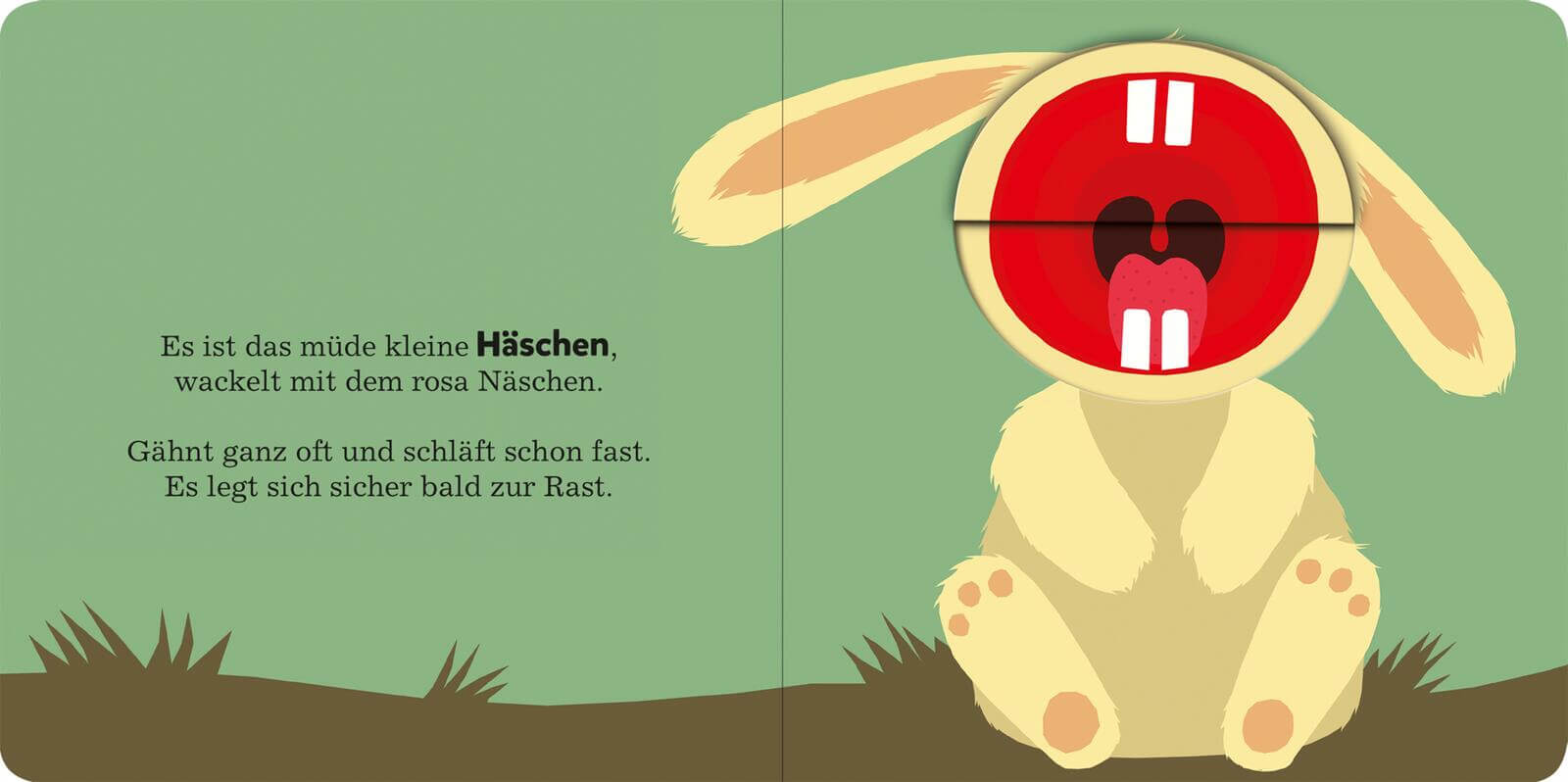 Alle müssen gähnen Mit großen Klappen 9783845865959 ArsEdition GmbH (7)