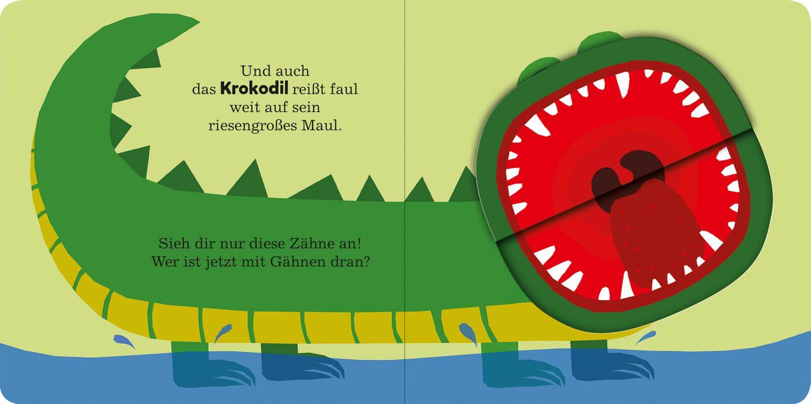 Alle müssen gähnen Mit großen Klappen 9783845865959 ArsEdition GmbH (9)