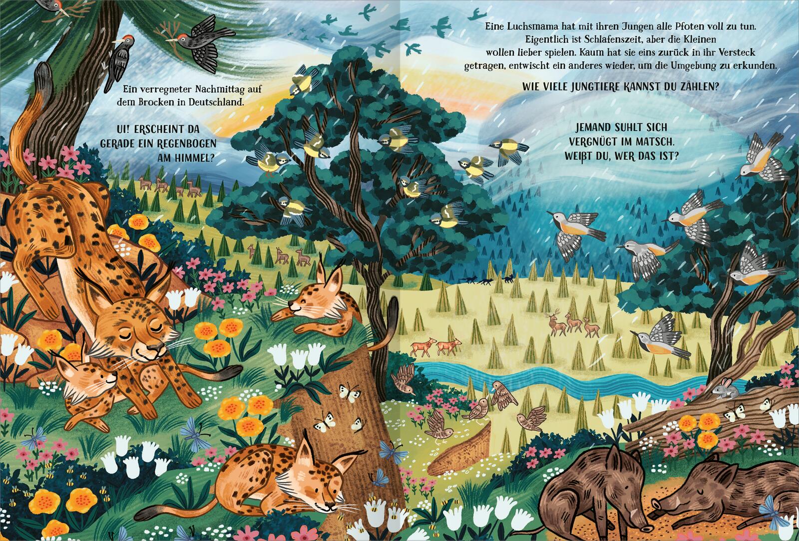 ArsEdition  978-3-8458-5468-7 Berge voller Wunder (3)