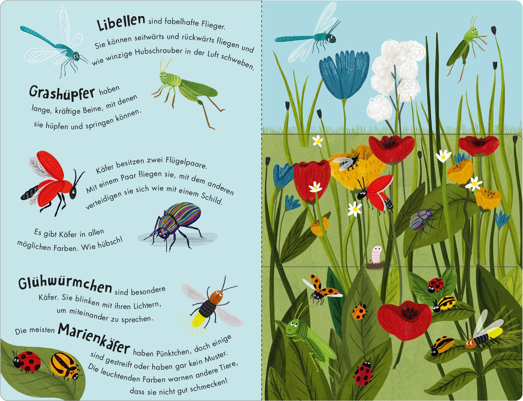 Bienen & Käfer – Ein Klipp-Klapp-Buch über Krabbeltiere Pappbilderbuch ab 2 Jahren mit Klipp-Klapp-Seiten Molly Littleboy...