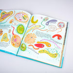 Carlsen  978-3-551-25225-8 Woher wir Menschen kommen und wie das Leben auf der Erde entstand - Die Gesc (3)