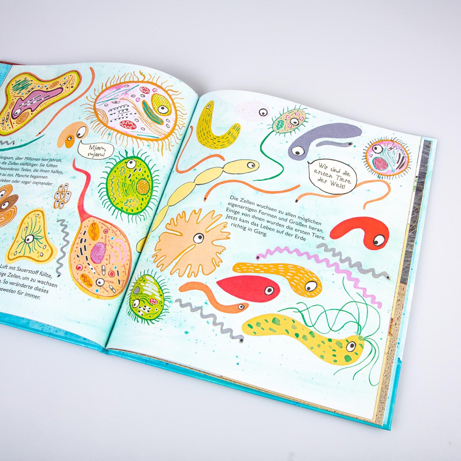 Carlsen  978-3-551-25225-8 Woher wir Menschen kommen und wie das Leben auf der Erde entstand - Die Gesc (3)