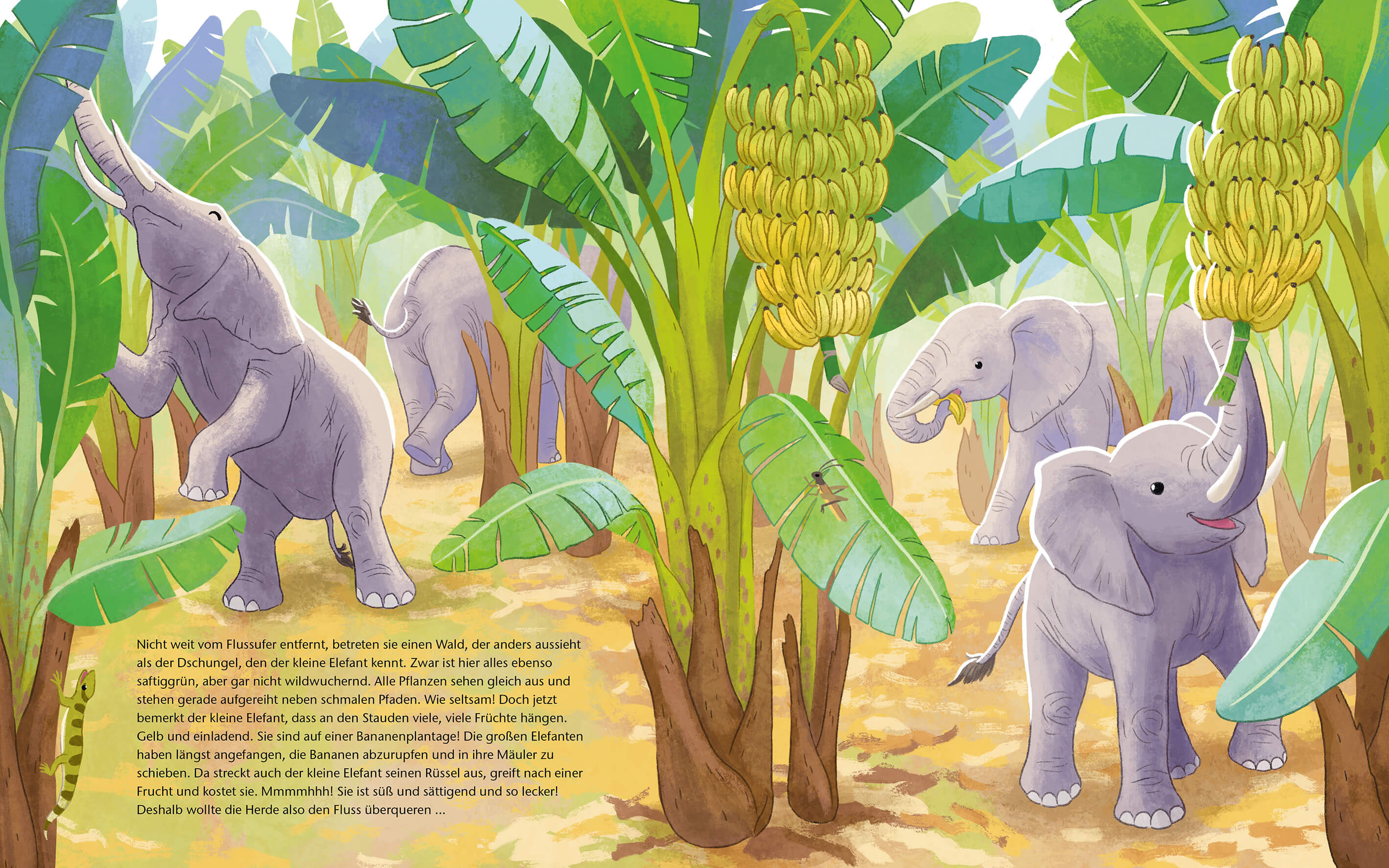 Der kleine Waldelefant - Zu Hause in Afrika Ein Sachbilderbuch für Kinder ab 4 Jahren Kristina Scharmacher-Schreiber (4)