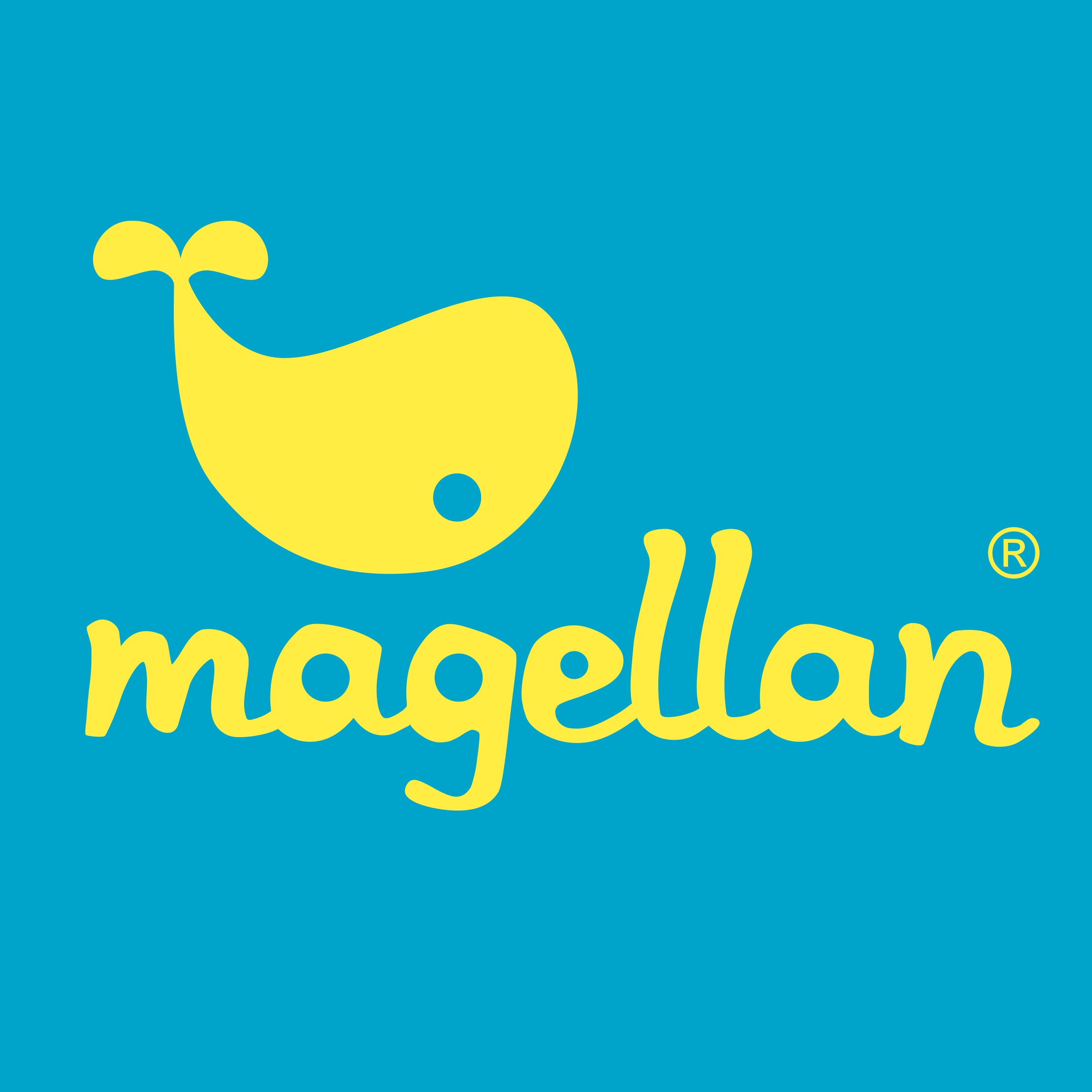 Die Haferhorde - Ponymut macht alles gut Band 21 der lustigen Ponyabenteuer für Kinder ab 8 Suza Kolb 9783734840463 (4)