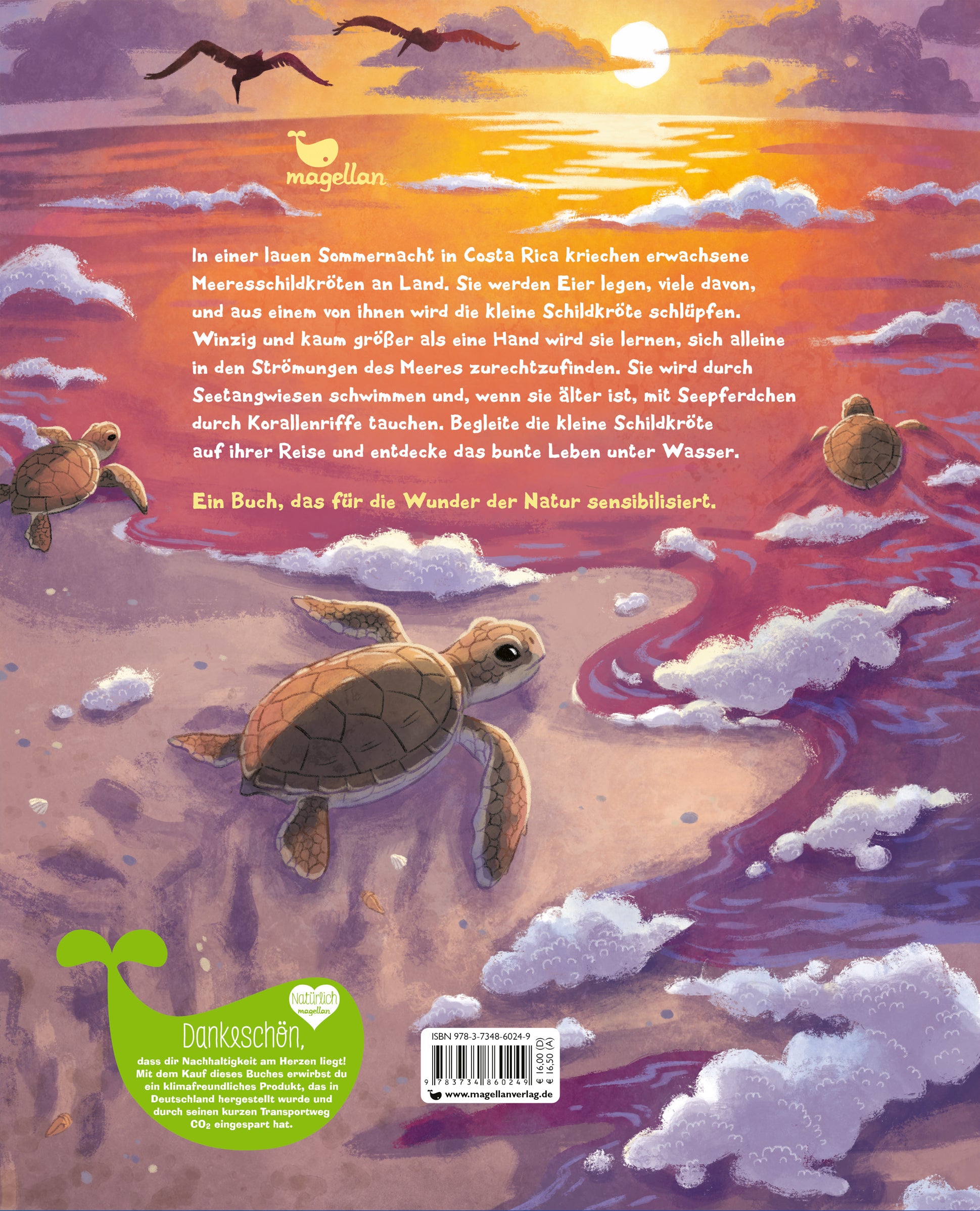 Die kleine Schildkröte - Zu Hause im Meer Bilderbuch mit erstem Sachwissen für Kinder ab 4 J Kristina Scharmacher-Schreib...