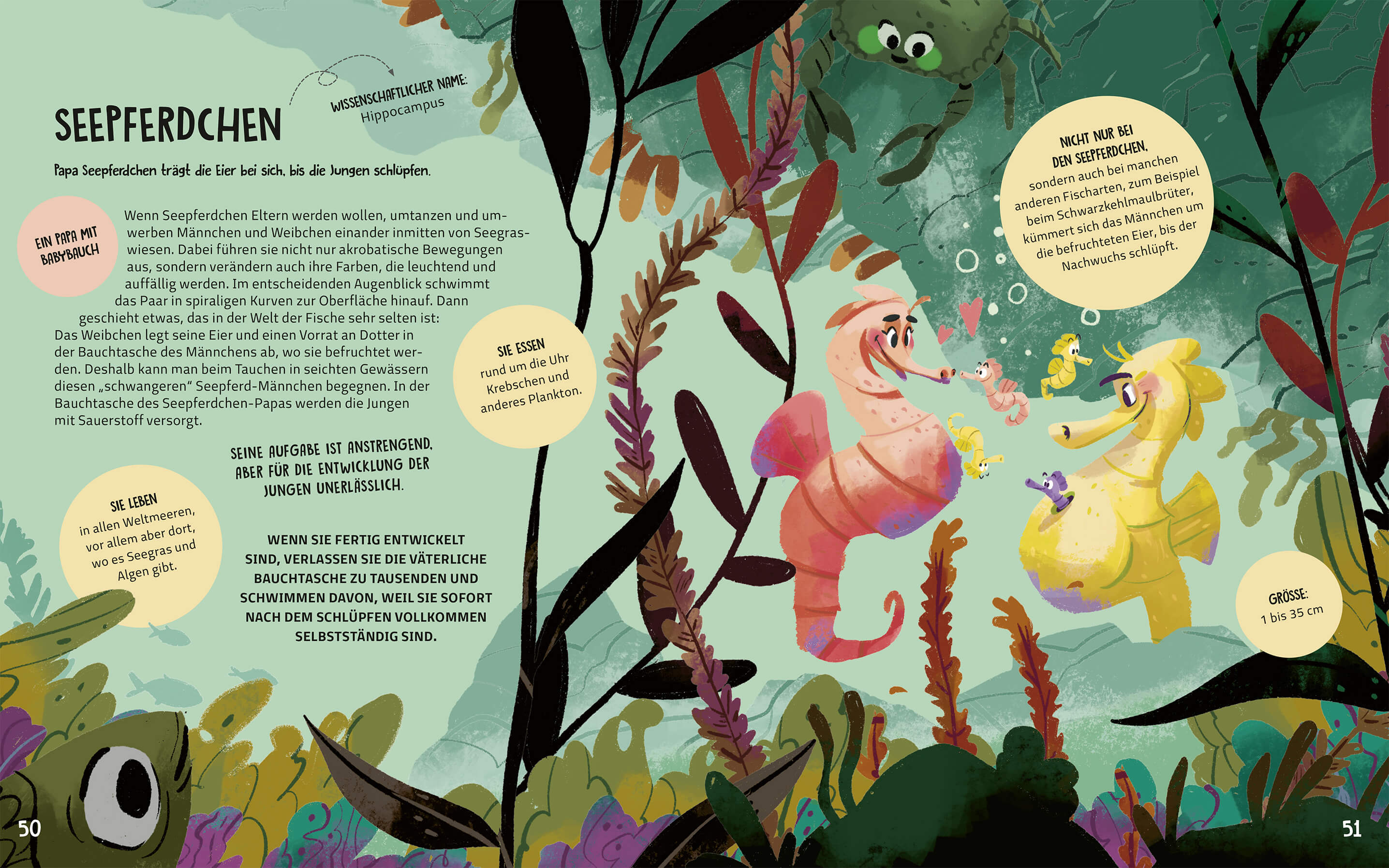 Familien im Tierreich Ein Sachbuch für Kinder ab 6 Jahren über Familiens Tecnoscienza 9783734860867 Magellan GmbH & Co. ...