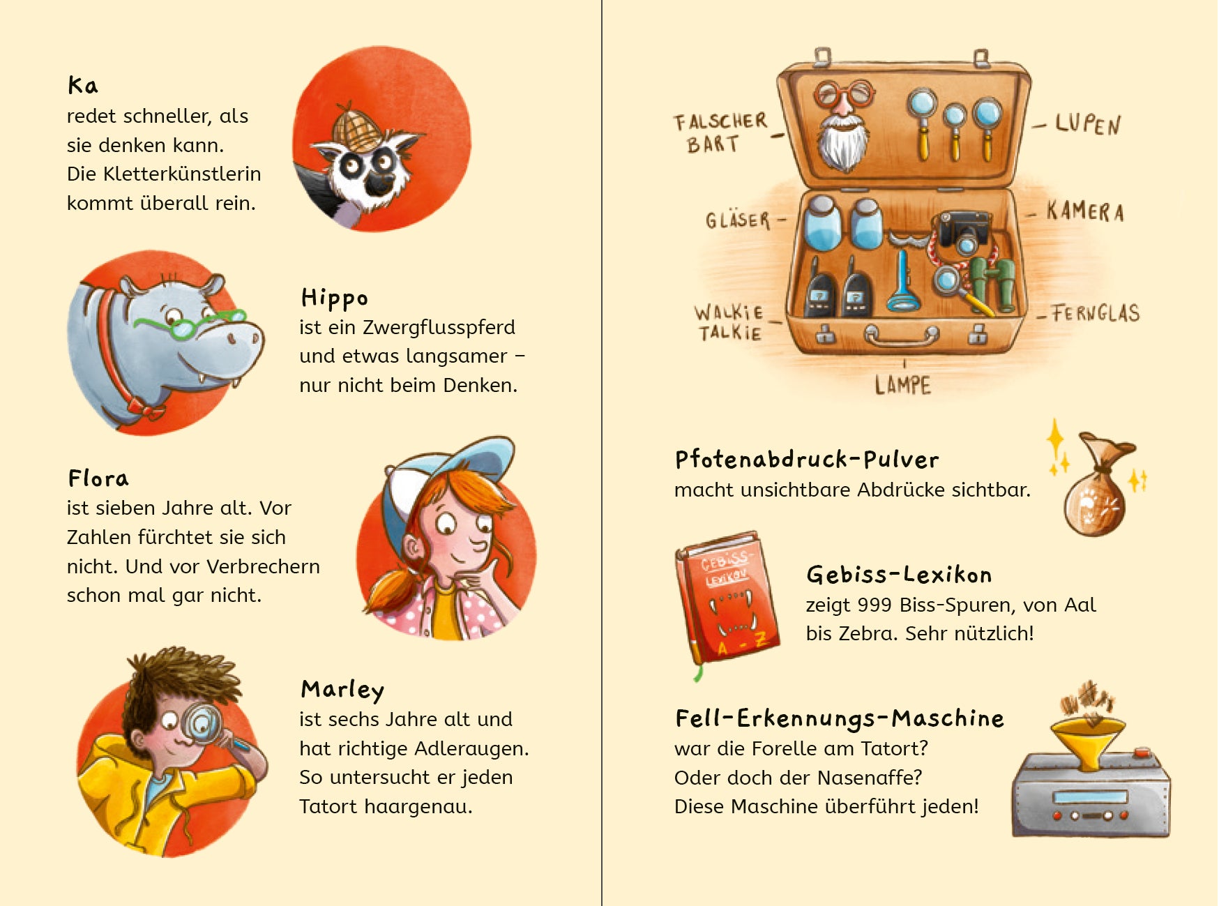 Fischer Sauerländer 978-3-7373-7284-8 Tierdetektive Hippo & Ka – Wer hat den Mops gemopst? (3)