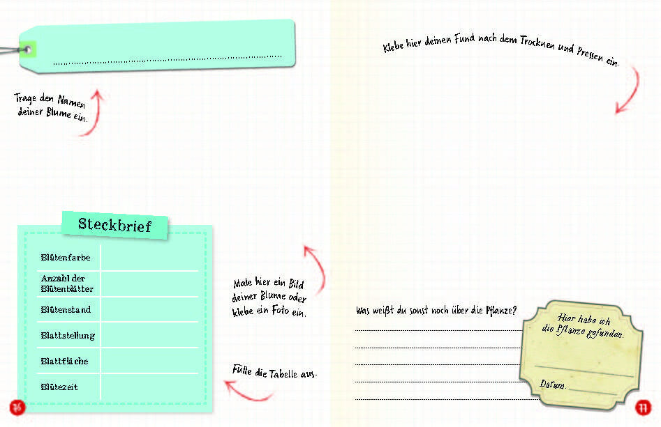 Flora & Leo. Mein erstes Herbarium Christine Schreier 9783968080093 Sophie Verlag GmbH (14)