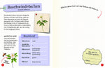 Flora & Leo. Mein erstes Herbarium Christine Schreier 9783968080093 Sophie Verlag GmbH (4)