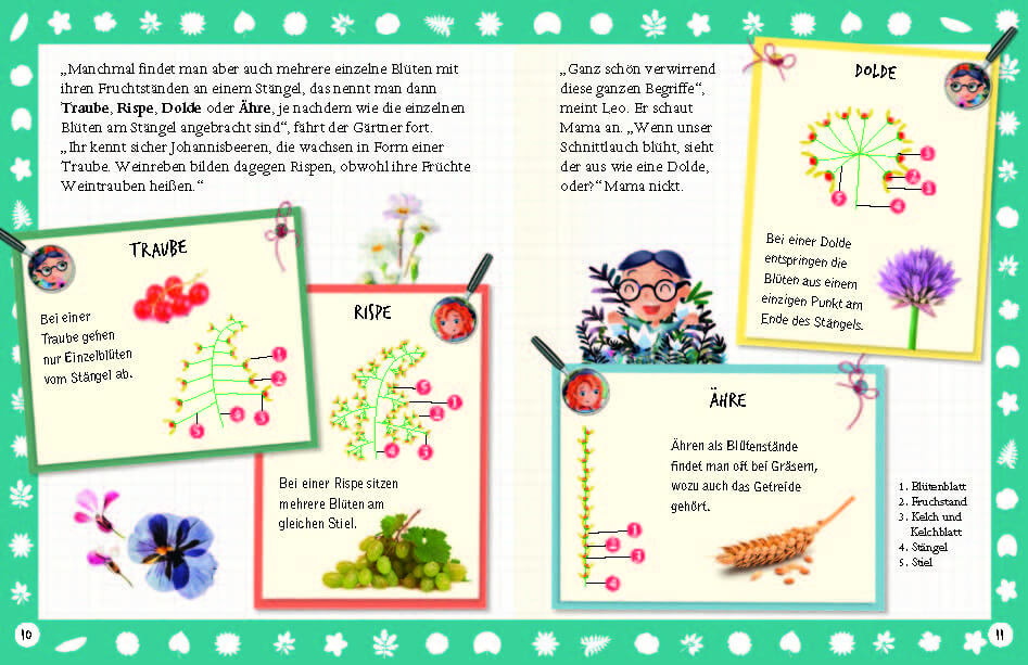 Flora & Leo. Mein erstes Herbarium Christine Schreier 9783968080093 Sophie Verlag GmbH (7)