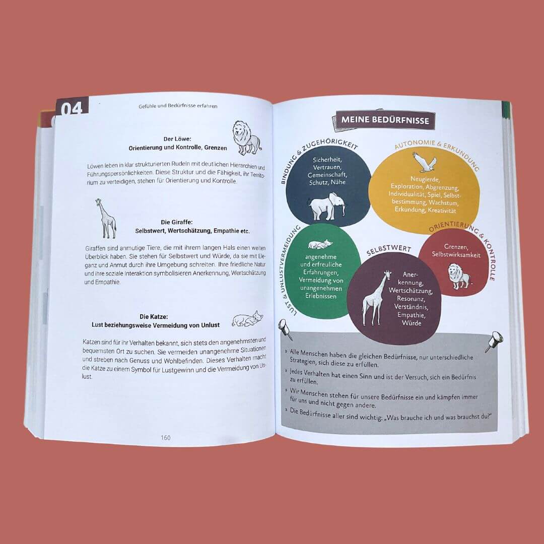 Gemeinsam durch die Wut Wie ein achtsamer Umgang mit kindlichen Aggression Kathrin Hohmann 9783982264301 Edition Claus (2)