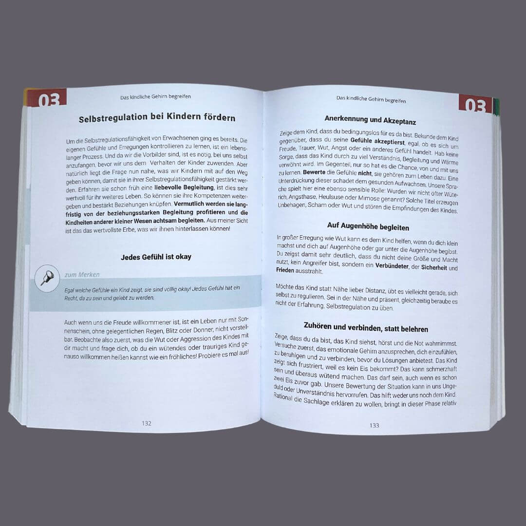 Gemeinsam durch die Wut Wie ein achtsamer Umgang mit kindlichen Aggression Kathrin Hohmann 9783982264301 Edition Claus (3)