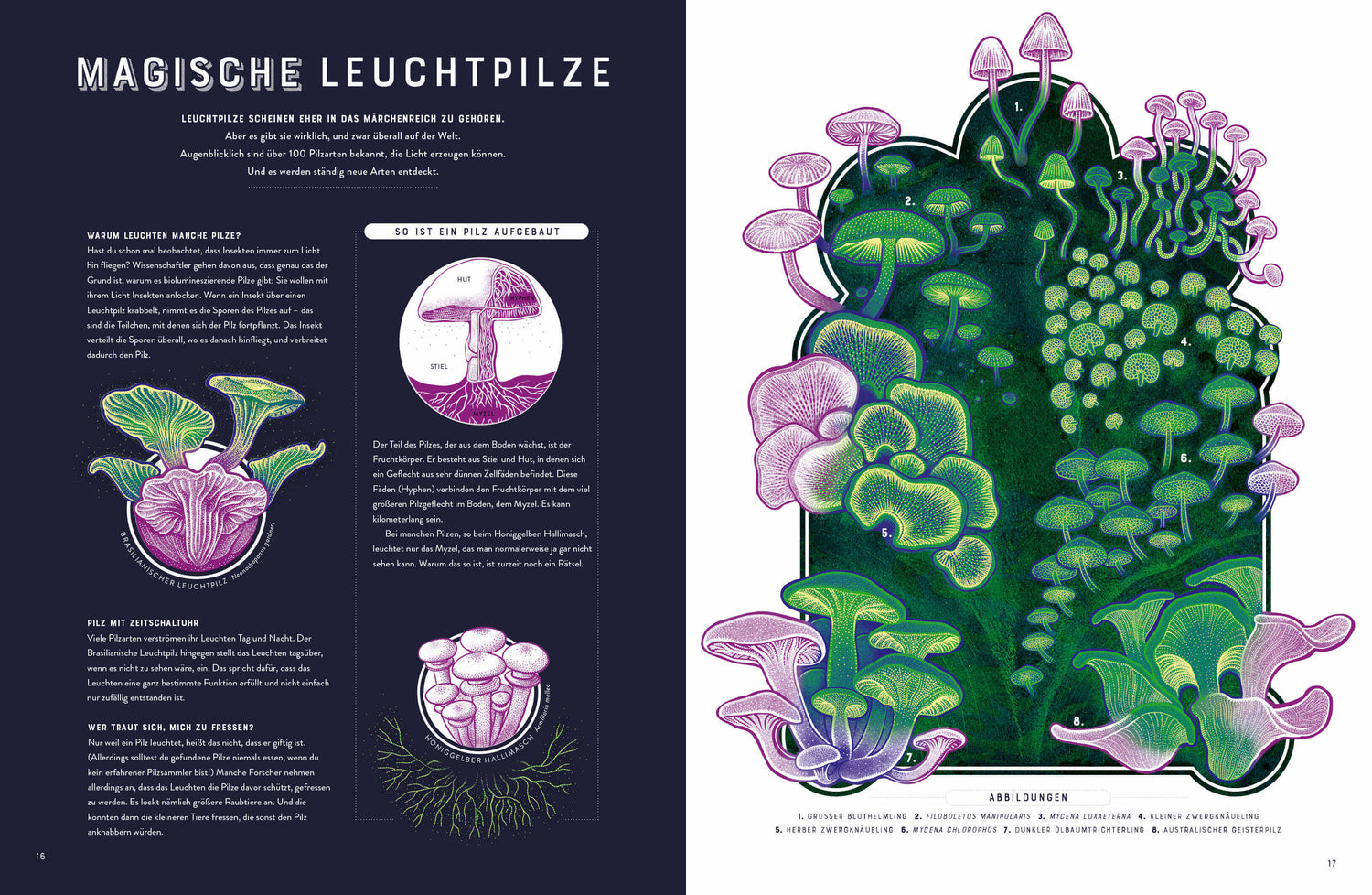 Glow – Das wundersame Leuchten der Natur Das Phänomen der Biolumineszenz mit wunderschönen  Jennifer N.R. Smith 978357018...