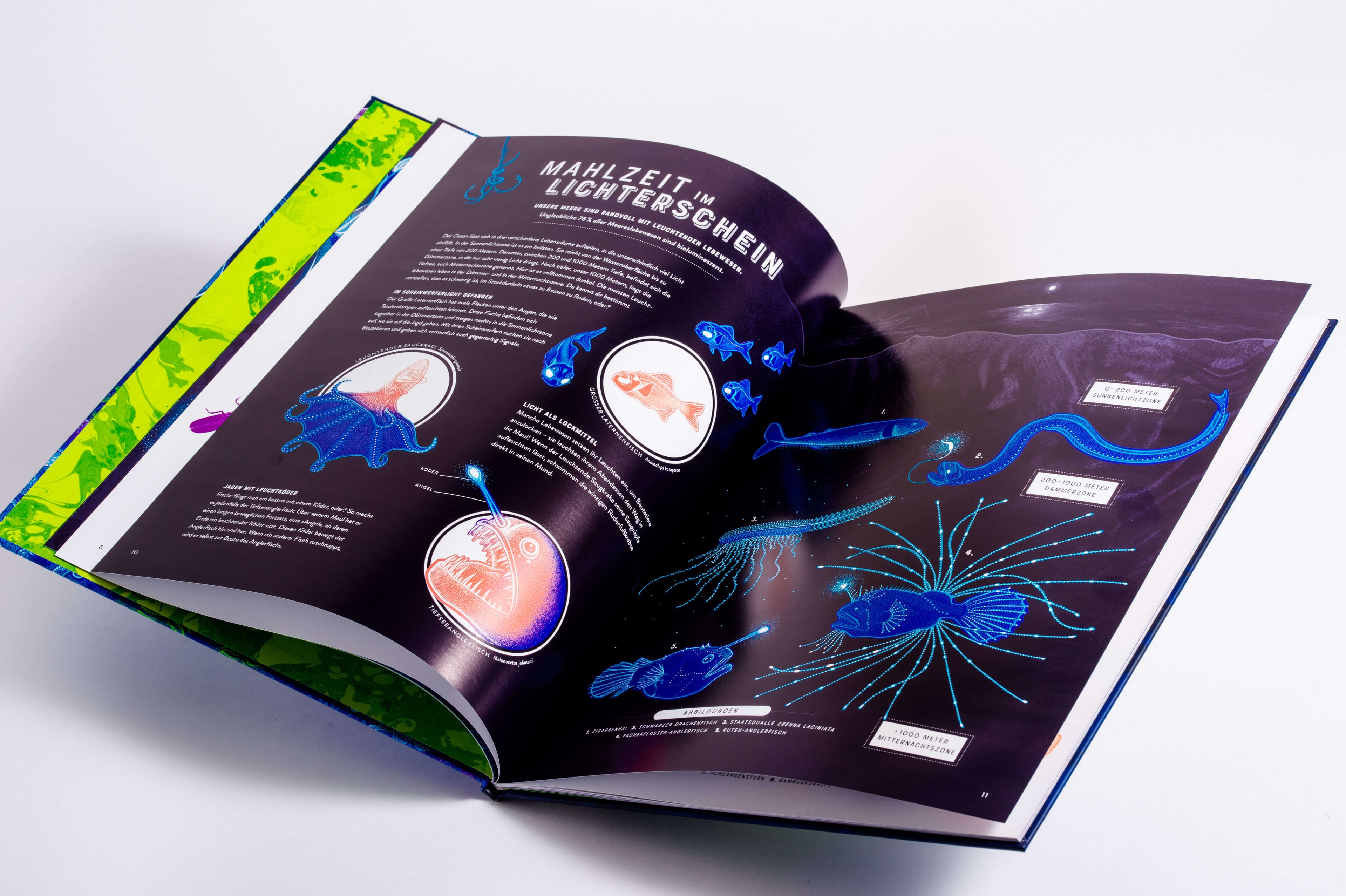 Glow – Das wundersame Leuchten der Natur Das Phänomen der Biolumineszenz mit wunderschönen Jennifer N.R. Smith 978357018...