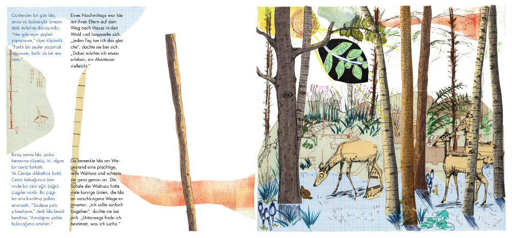 İda’nin Yolu / Idas Weg