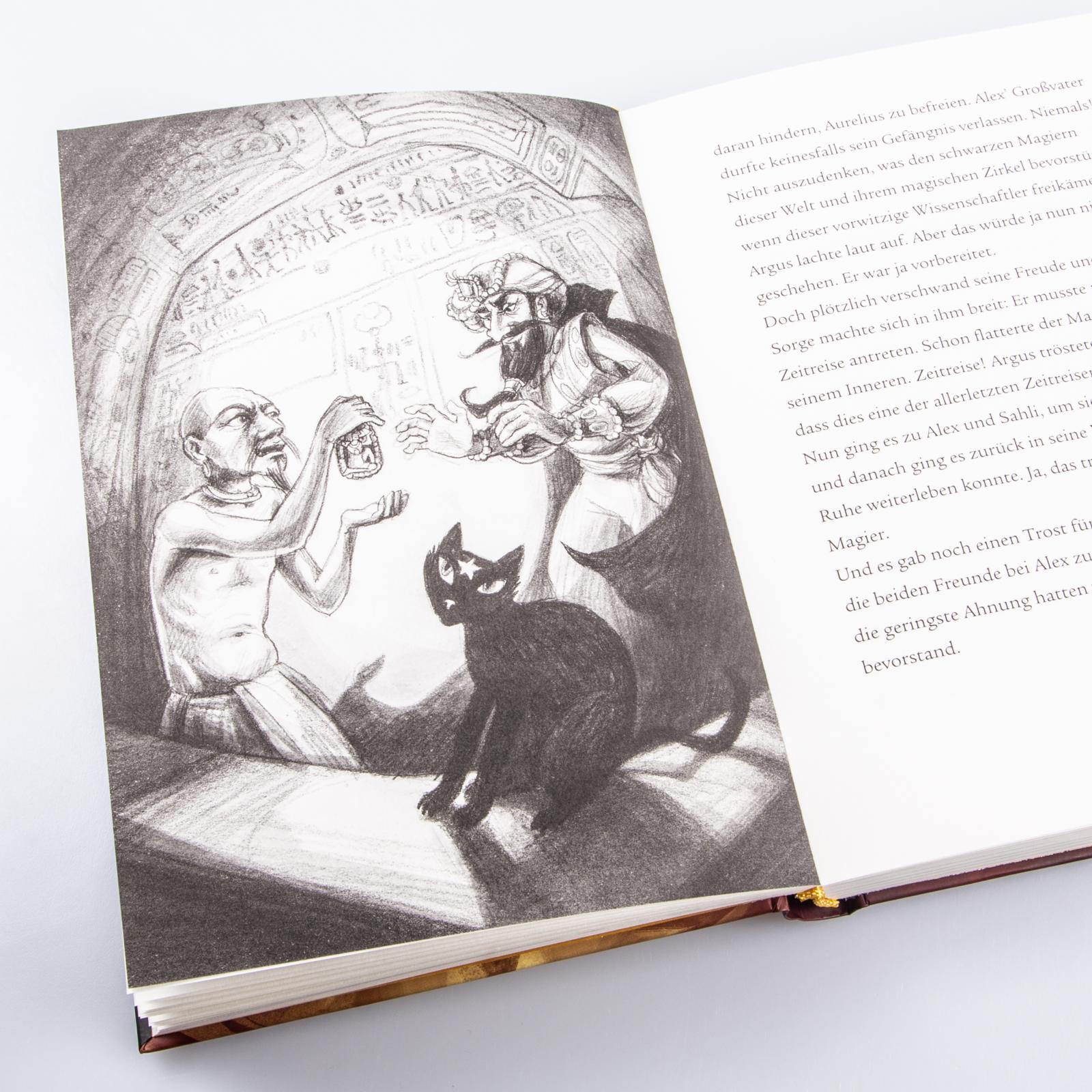 Im Zeichen der Zauberkugel 3: Der ägyptische Zankzauber Stefan Gemmel 9783551651150 Carlsen Verlag GmbH (2)