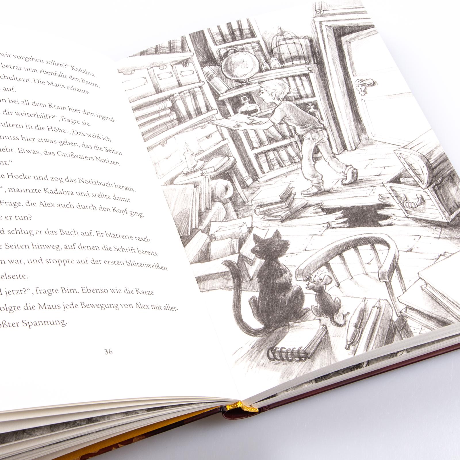 Im Zeichen der Zauberkugel 4: Das Geheimnis des Drachen Stefan Gemmel 9783551651167 Carlsen Verlag GmbH (2)