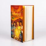 Im Zeichen der Zauberkugel 4: Das Geheimnis des Drachen Stefan Gemmel 9783551651167 Carlsen Verlag GmbH (3)