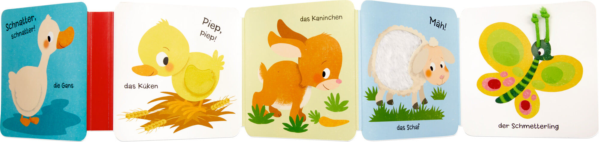 Mein Fühl-Leporello: Kribbelkrabbel 9783649650911 Coppenrath Verlag GmbH & Co. KG (3)