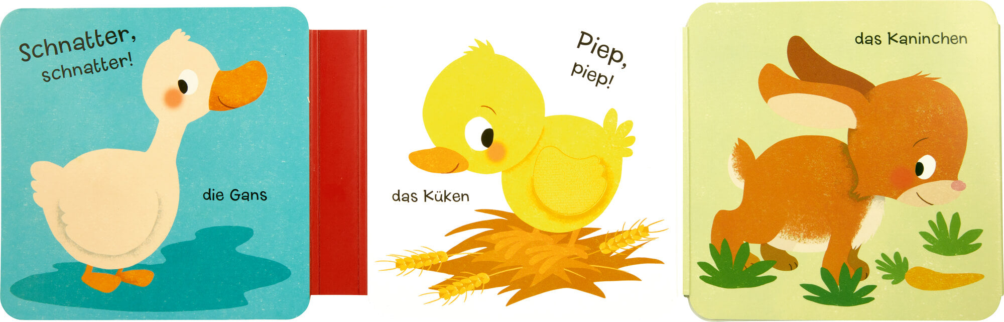Mein Fühl-Leporello: Kribbelkrabbel 9783649650911 Coppenrath Verlag GmbH & Co. KG (4)