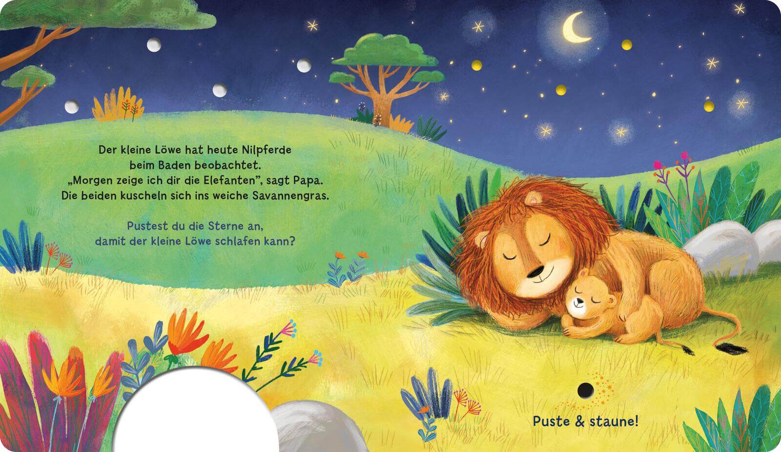 Mein Puste-Licht-Buch: Schlaf schön, kleiner Schatz! Mit Puste-Licht und LED-Lämpchen Madlen Ottenschläger 9783480240944 ...