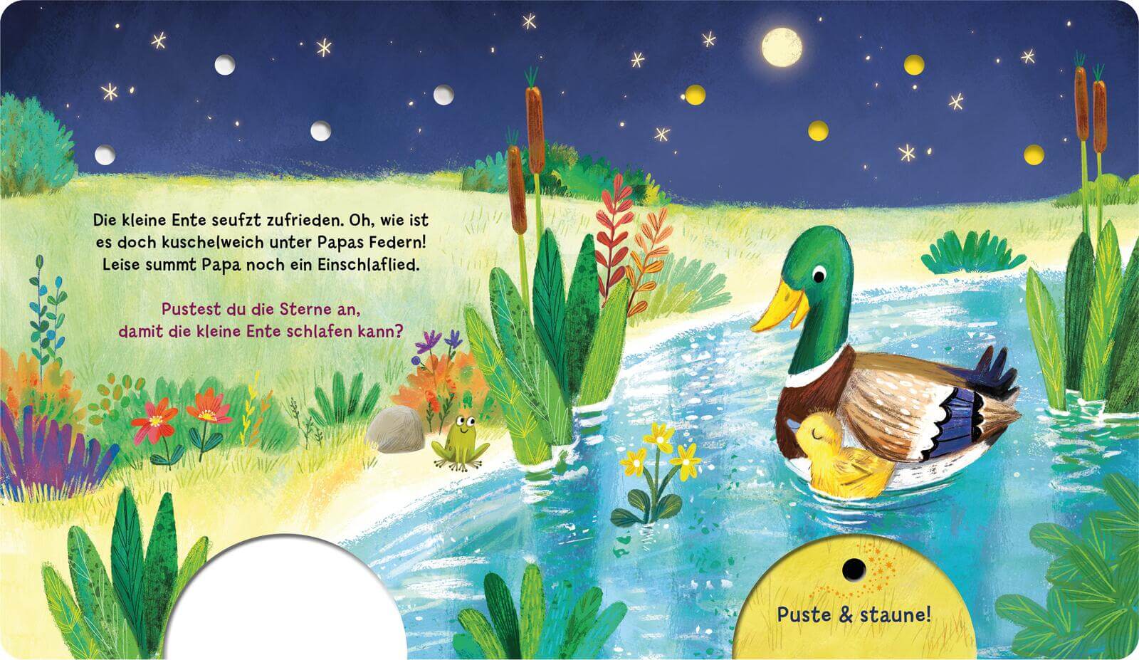 Mein Puste-Licht-Buch: Schlaf schön, kleiner Schatz! Mit Puste-Licht und LED-Lämpchen Madlen Ottenschläger 9783480240944 ...