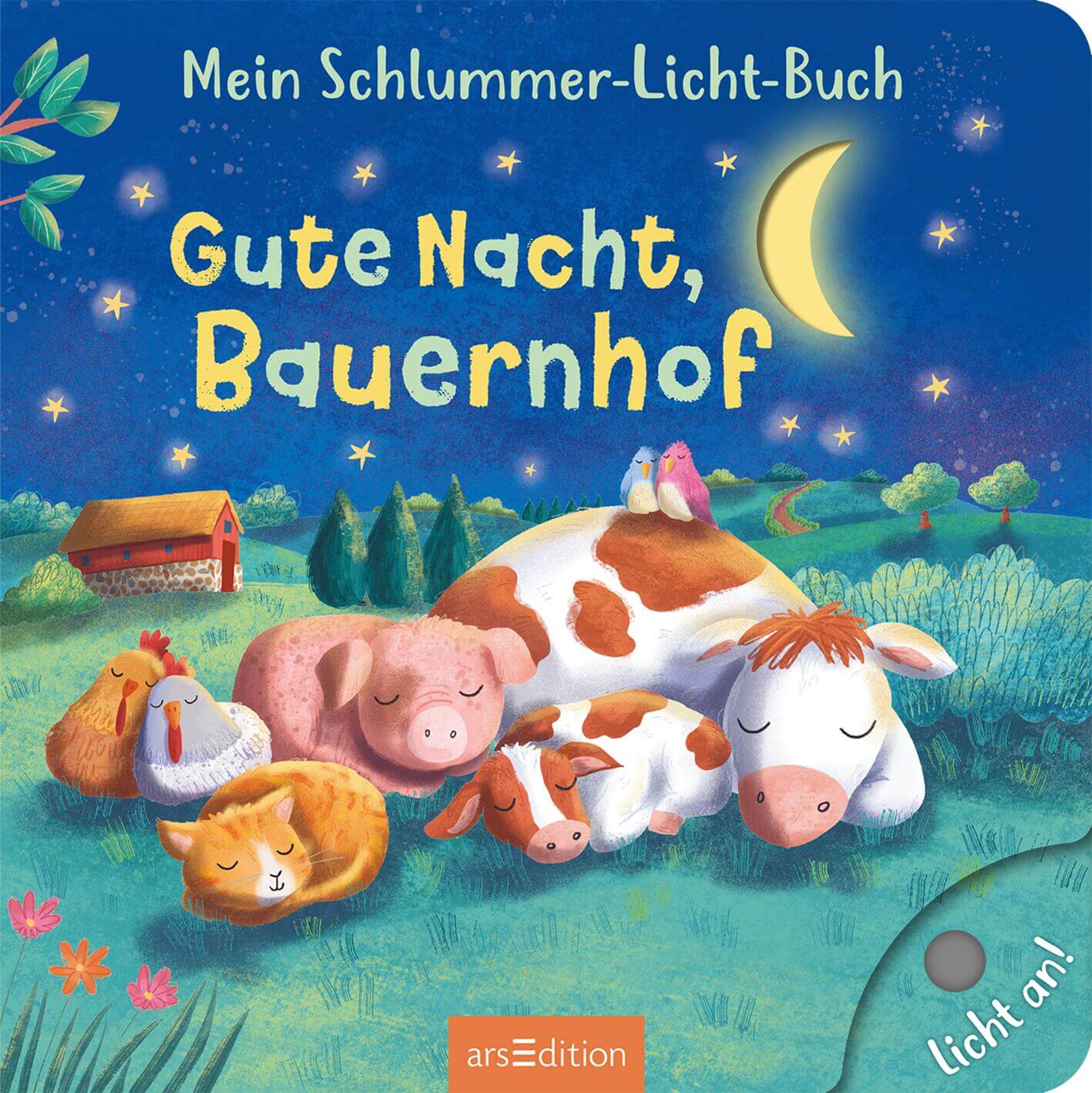 Mein Schlummer-Licht-Buch: Gute Nacht, Bauernhof Mit LED-Lichtern Maria Höck 9783845859644 ArsEdition GmbH (4)