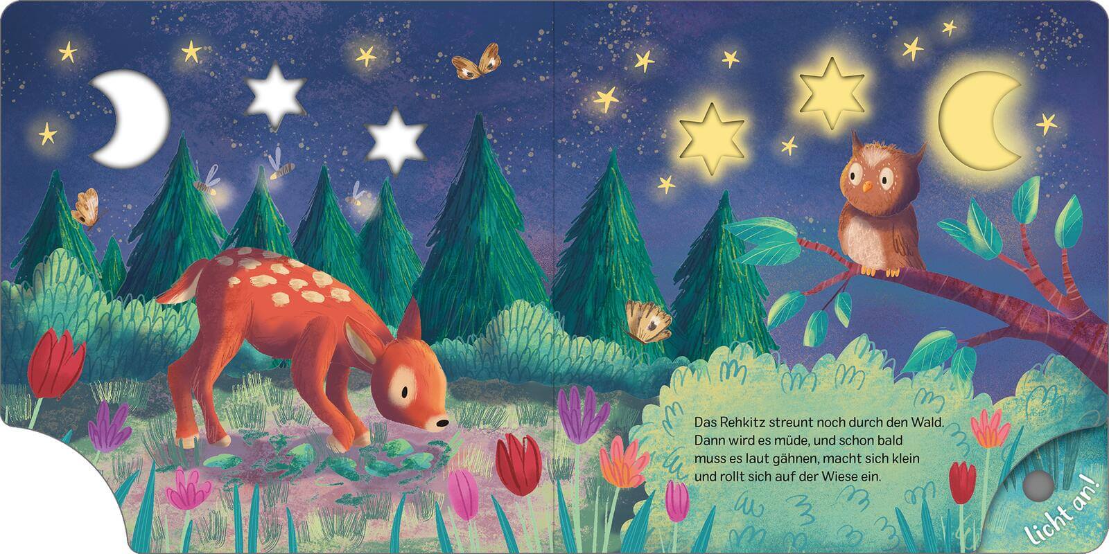 Mein Schlummer-Licht-Buch: Gute Nacht, Wald mit LED-Lichtern Maria Höck 9783845859637 ArsEdition GmbH (3)