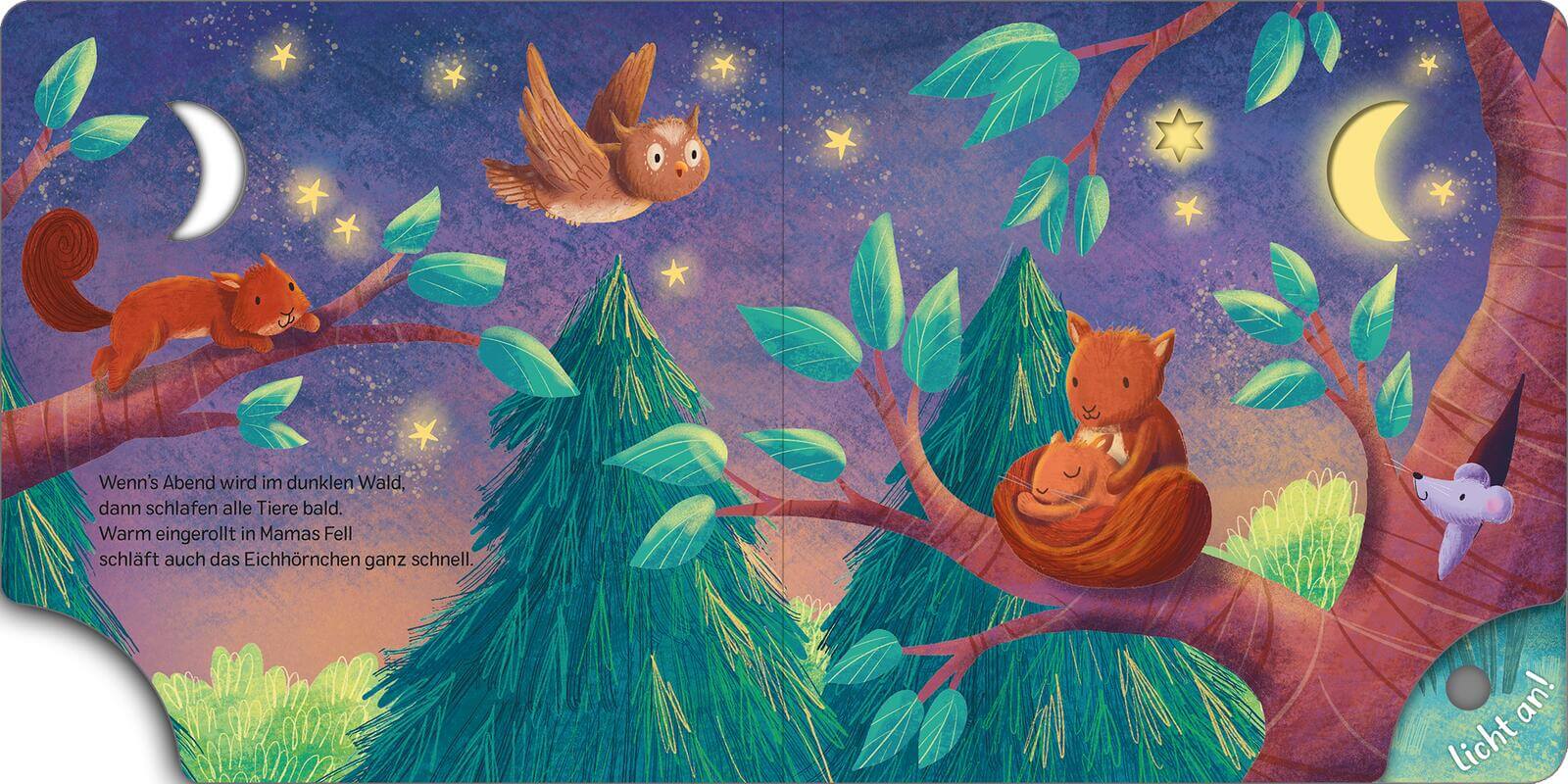 Mein Schlummer-Licht-Buch: Gute Nacht, Wald mit LED-Lichtern Maria Höck 9783845859637 ArsEdition GmbH (4)
