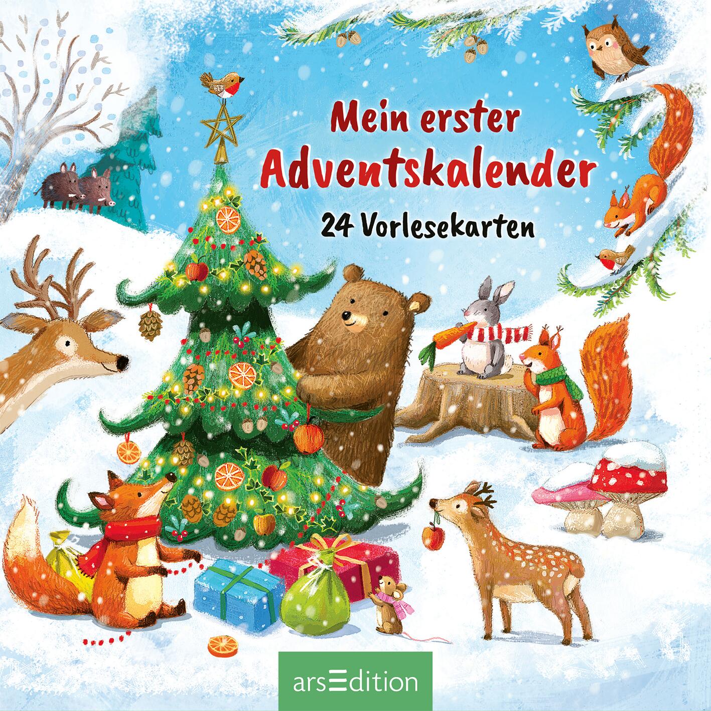 Mein erster Adventskalender 24 Vorlesekarten Joschi Mühl 9783845862408 ArsEdition GmbH (4)