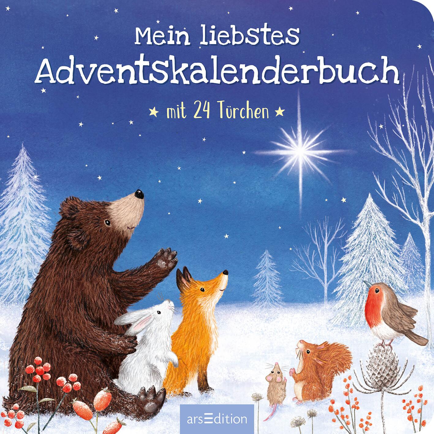 Mein liebstes Adventskalenderbuch Mit 24 Türchen 9783845865775 ArsEdition GmbH (3)
