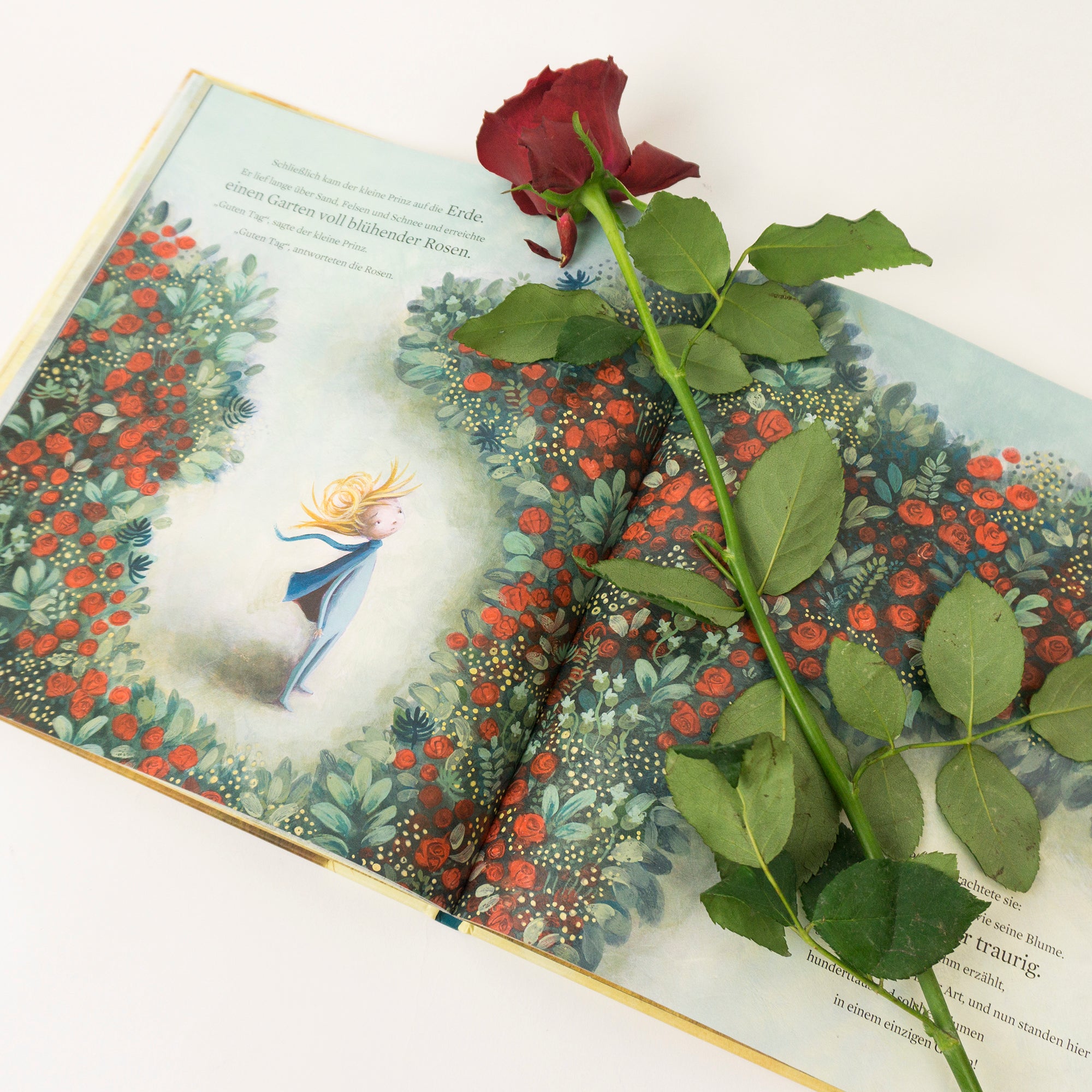 MixtVision 9783958541412 Der kleine Prinz Träumerisches Bilderbuch ab 3 Jahren nach Antoine (4)