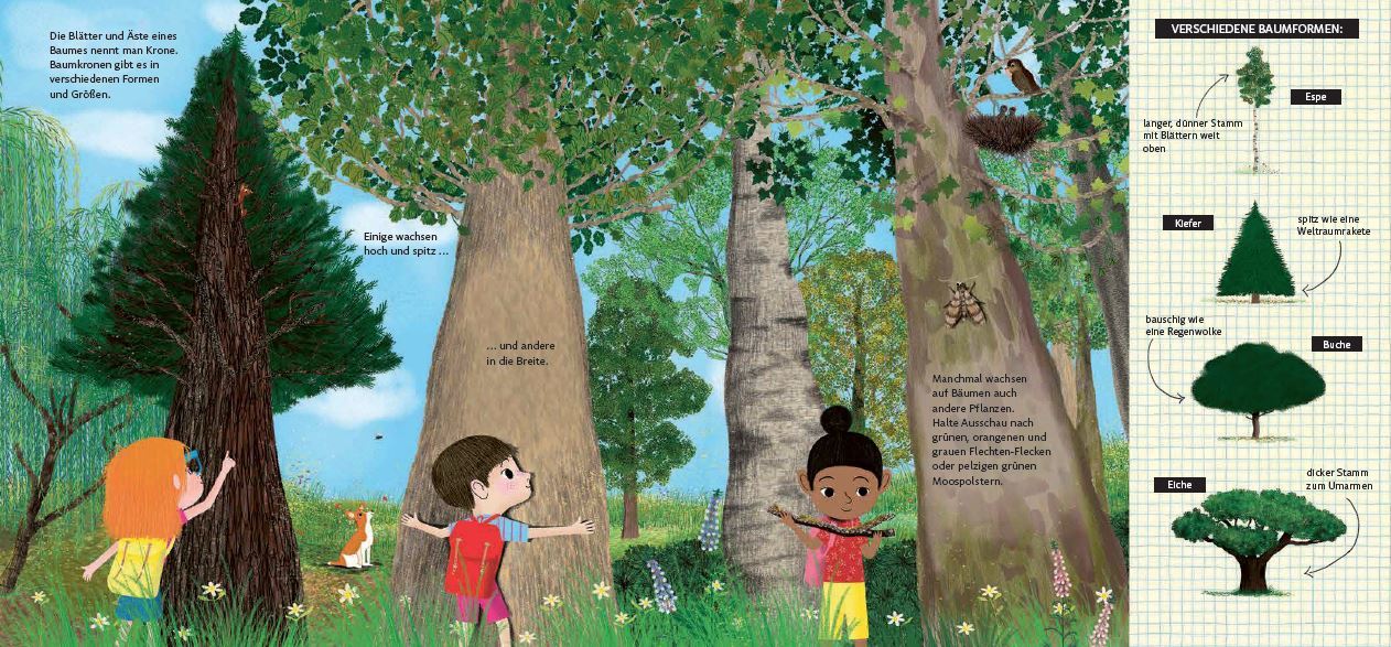 Schau dich um in der Natur - Der Wald Sachbilderbuch für kleine Naturforscher ab 4 Jahre J.M. Verona 9783328300076 (4)