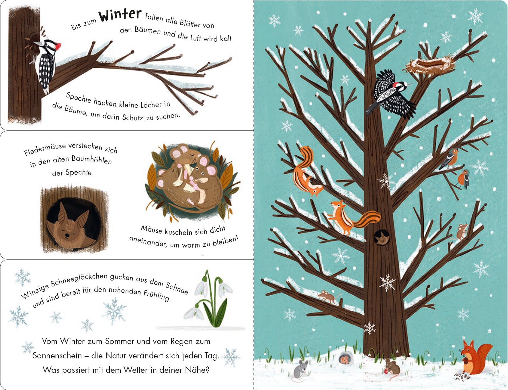 Sonne & Regen - Ein Klipp-Klapp-Buch über die Natur und das Wetter Pappbilderbuch ab 2 ½ Jahren mit Klipp-Klapp-Seite (2)