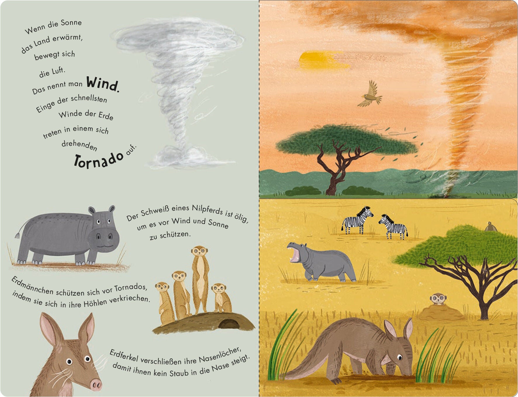 Sonne & Regen - Ein Klipp-Klapp-Buch über die Natur und das Wetter Pappbilderbuch ab 2 ½ Jahren mit Klipp-Klapp-Seite (4)