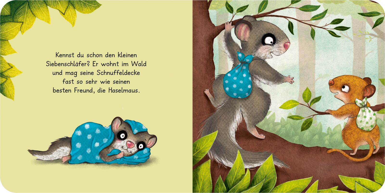 Thienemann - Esslinger Verlag GmbH 9783522460927 Der kleine Siebenschläfer: Mein liebstes Würfelpuzzle Mit Pappbilderbuch (3)