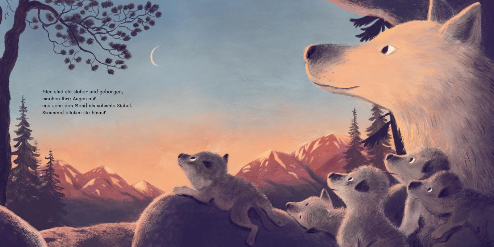 Thienemann - Esslinger 9783522460569 Im Wald der Wölfchen Fünf niedliche Wolfswelpen erleben ihren ersten Le (5)