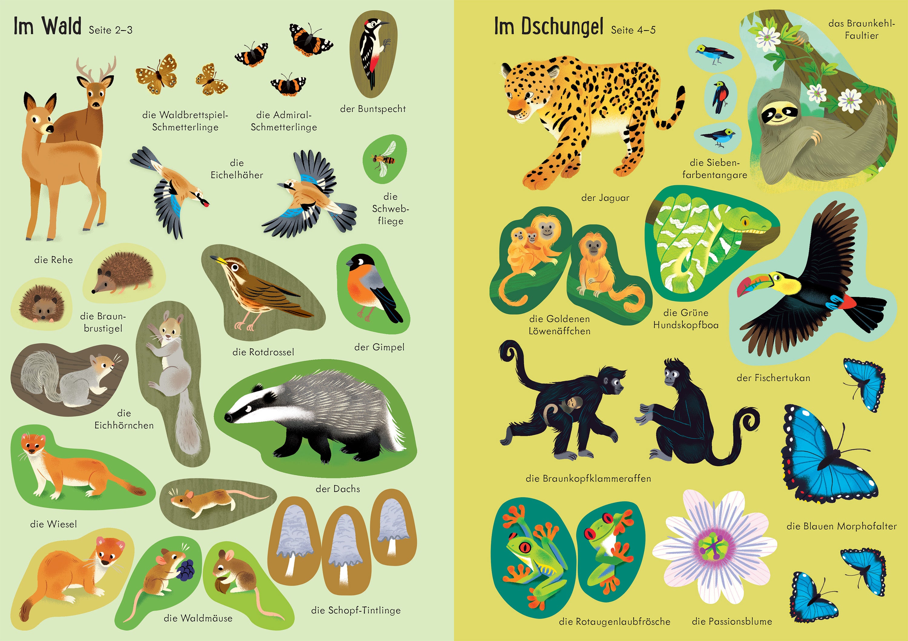 Usborne im dtv 978-1-0357-0332-6 Mein Immer-wieder-Stickerbuch: Tiere der Welt (3)