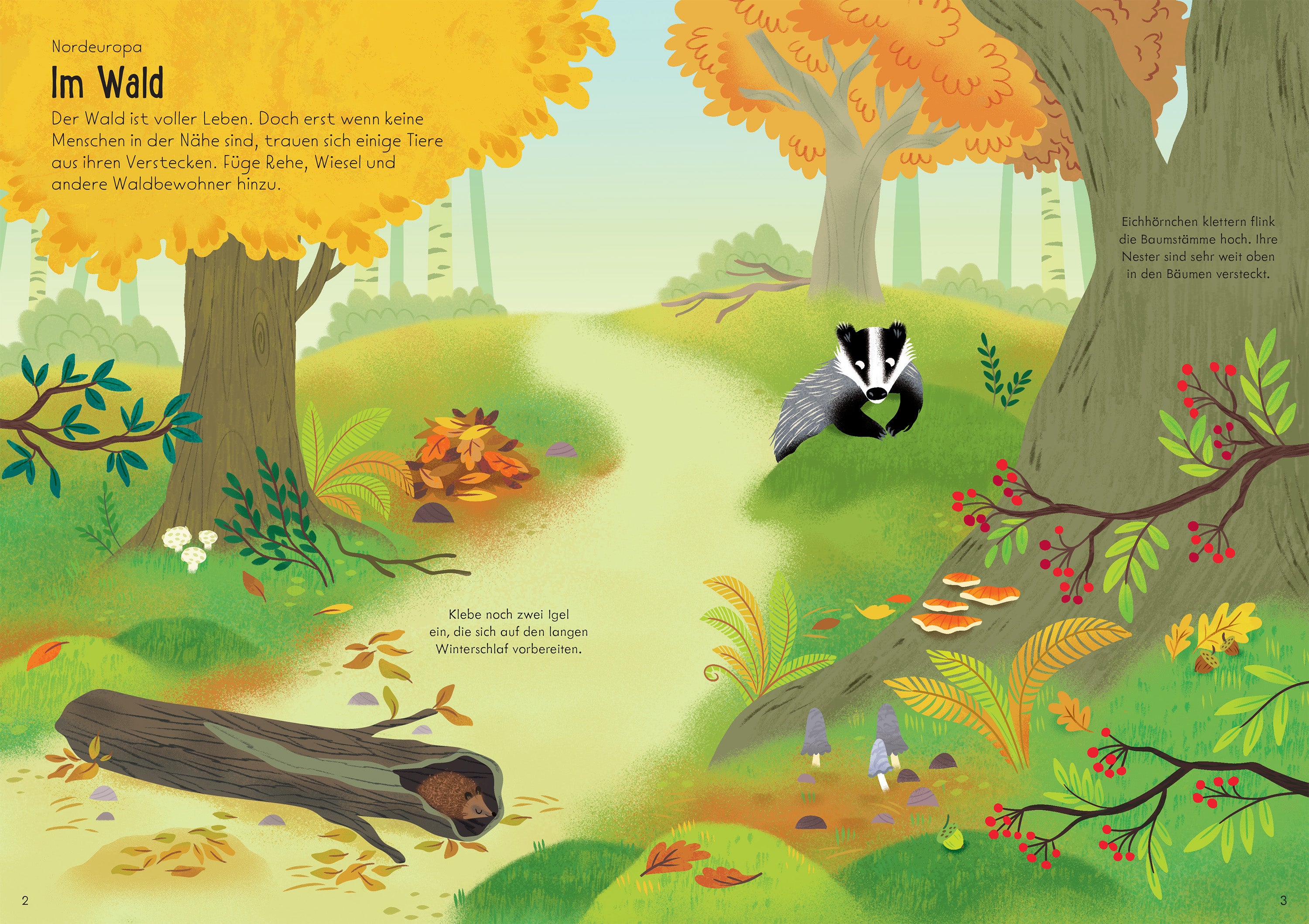 Usborne im dtv 978-1-0357-0332-6 Mein Immer-wieder-Stickerbuch: Tiere der Welt (4)