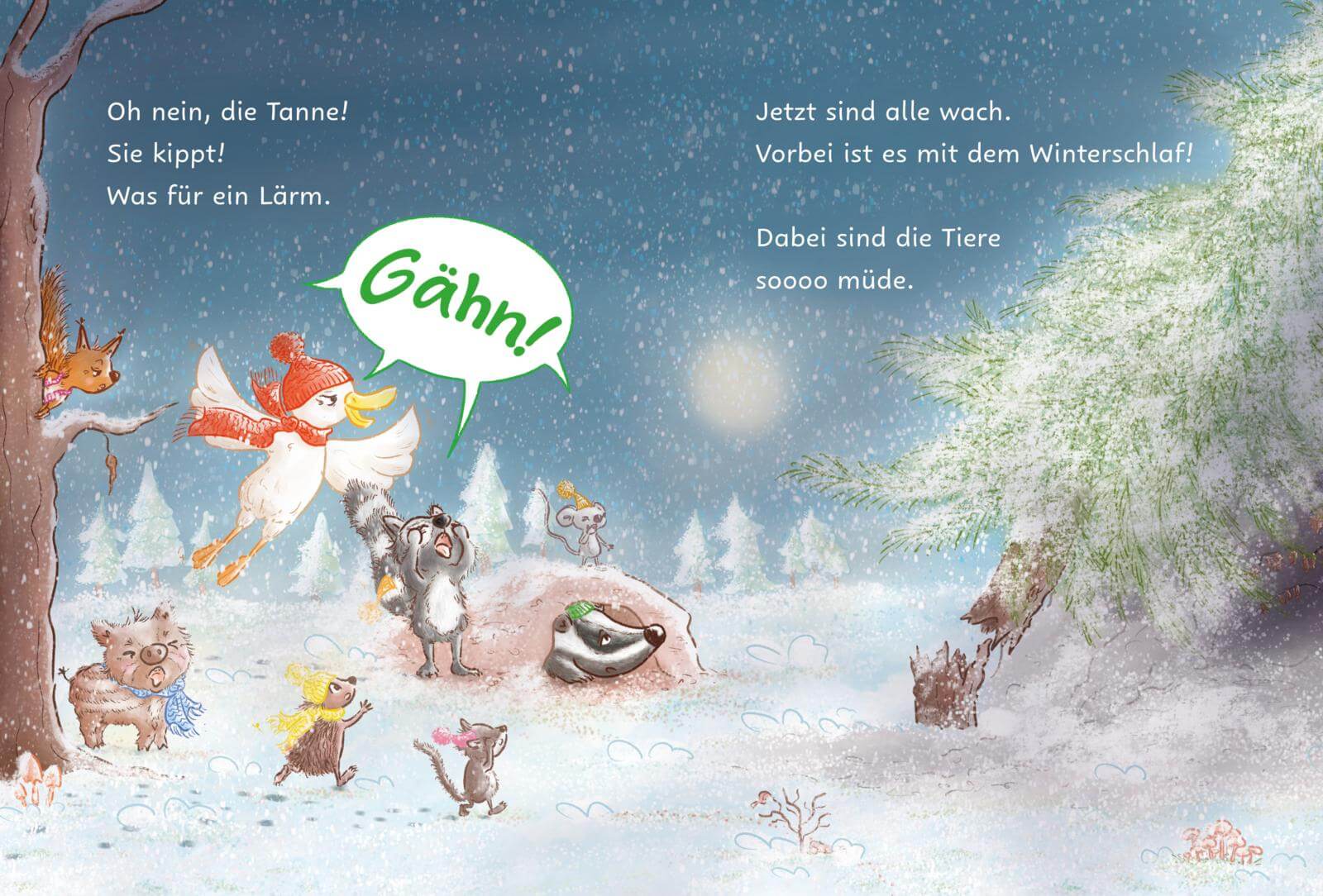 Weihnachten im Winterschlaf Einfach Lesen Lernen Katalina Brause 9783551691323 Carlsen Verlag GmbH (3)